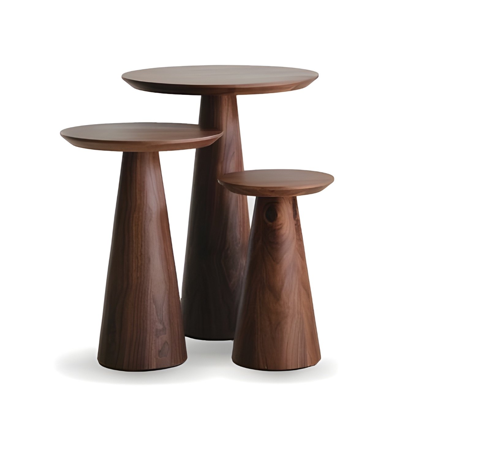 WhatsApp Image 2025-01-28 at 11.40.20 PM