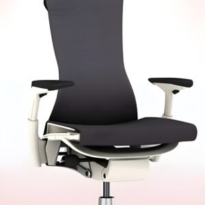 Embody Chair